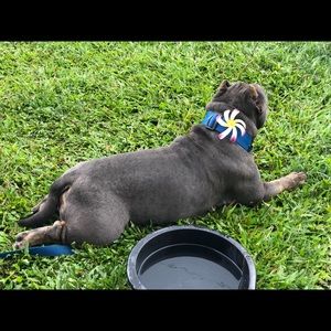 Meet your Posher, Susana